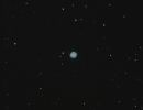 2014-03 Blauer Schneeball