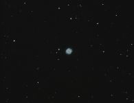 2014-03 Blauer Schneeball