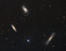 Leo Triplett
