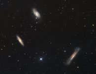 Leo Triplett