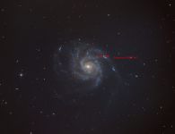 Supernova in Galaxie M101