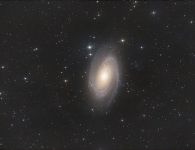 M81 Bodes Galaxie