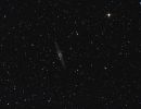NGC 891