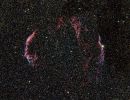 Cygnus-Bogen