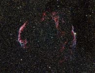 Cygnus-Bogen