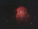 NGC2174 - Monkey Head Nebula