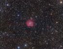 Affenkopfnebel - NGC 2174