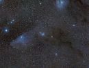 blauer Pferdekopf im Skorpion (IC4592)