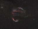 Cygnus Loop