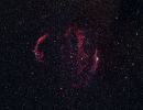 Cygnus Loop (Schleiernebel) 