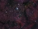 IC 1396 - ''Elefantenr&uuml;sselnebel''