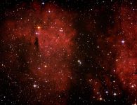 IC1318