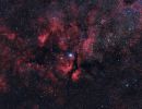 IC1318 Schmetterlingsnebel im Schwan (Widefield)