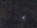 Irisnebel NGC 7023 und Umgebung