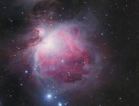 M42