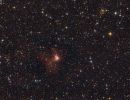 NGC 1491