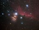 Pferdekopfnebel und Flammennebel im Orion