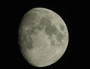 Mond Goldener Henkel