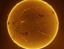 Sonne vom 10.02.2026