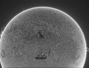 sonne vom